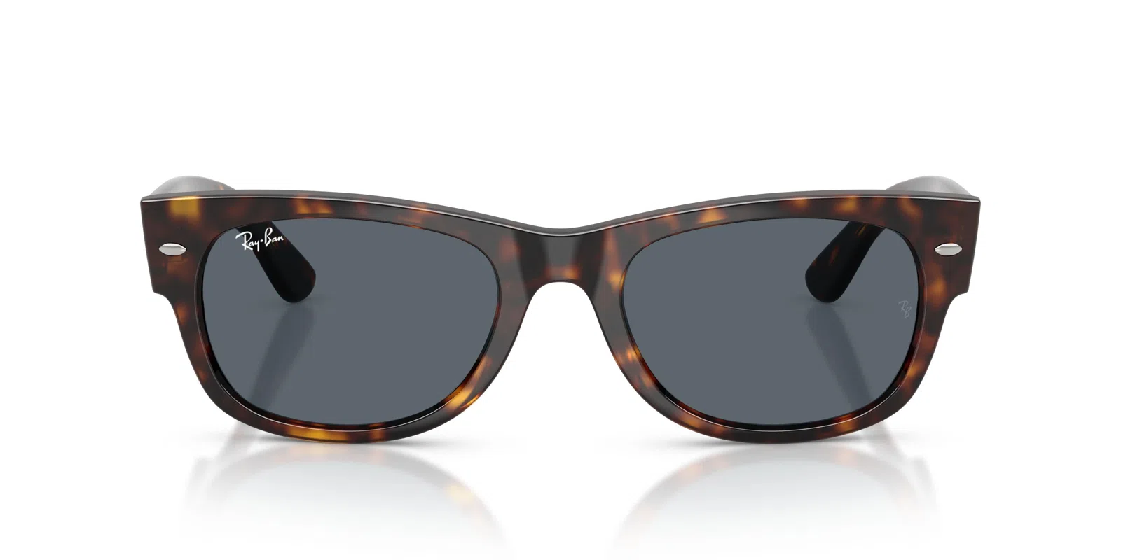Ray-Ban Mega Wayfarer Ii 0832SF Sunglasses - view 29